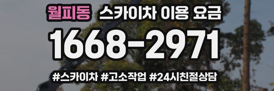 월피동 스카이차 이용 요금