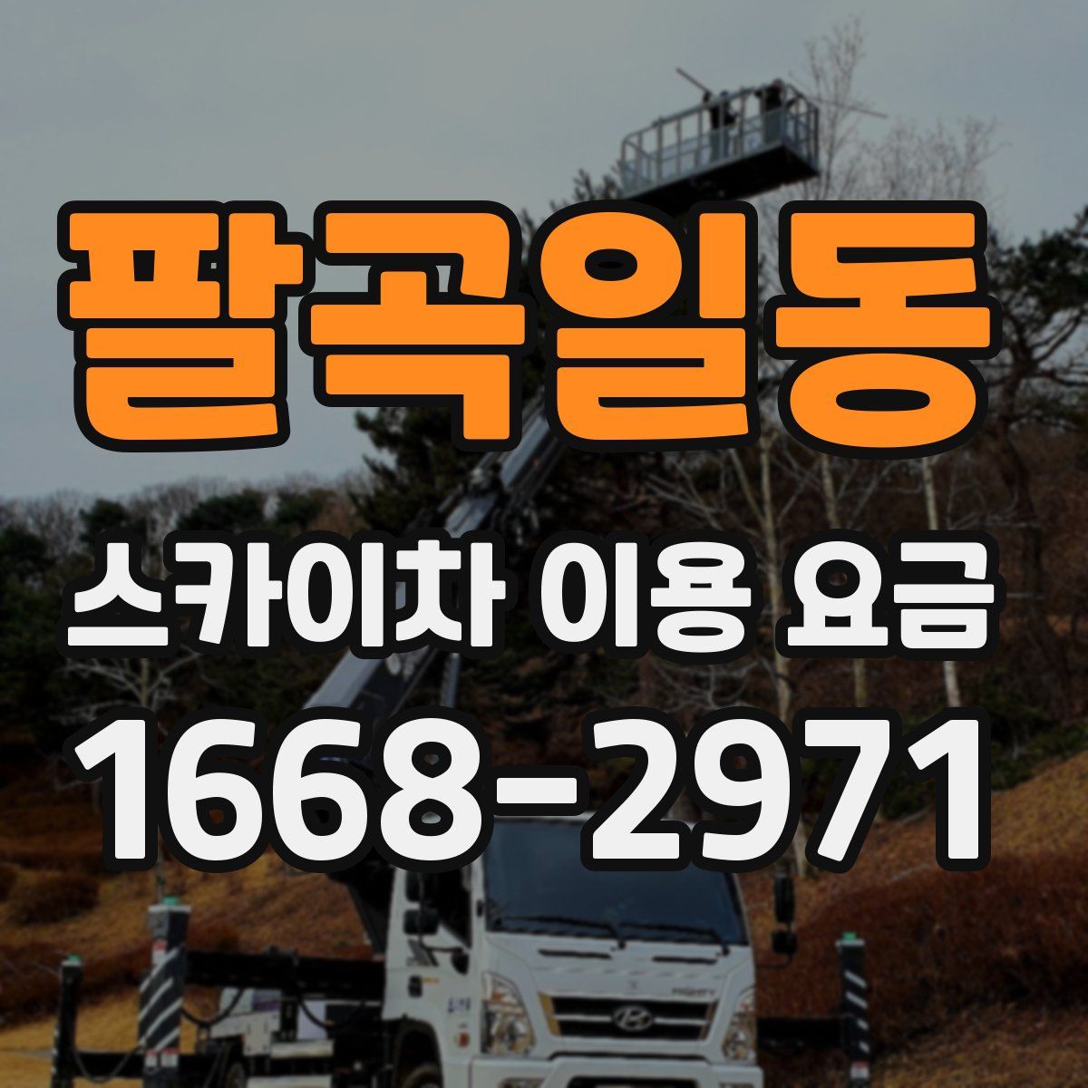 팔곡일동 스카이차 이용 요금