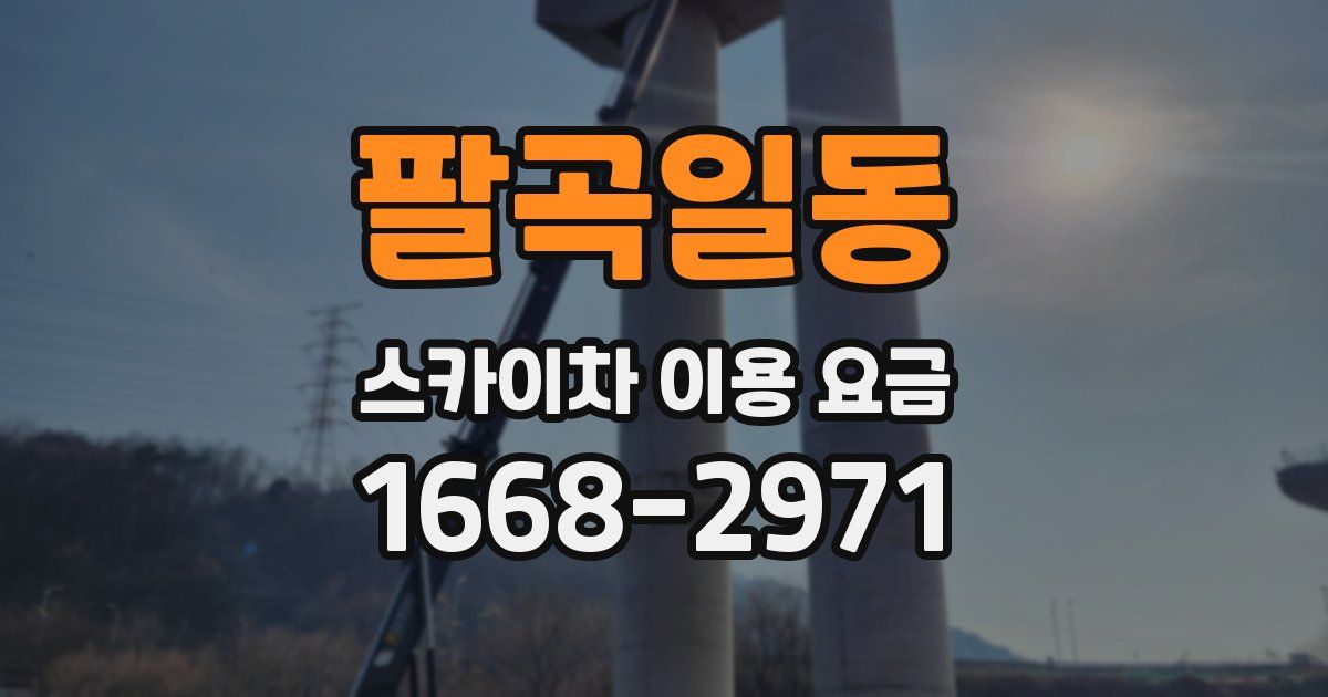 팔곡일동 스카이차 이용 요금