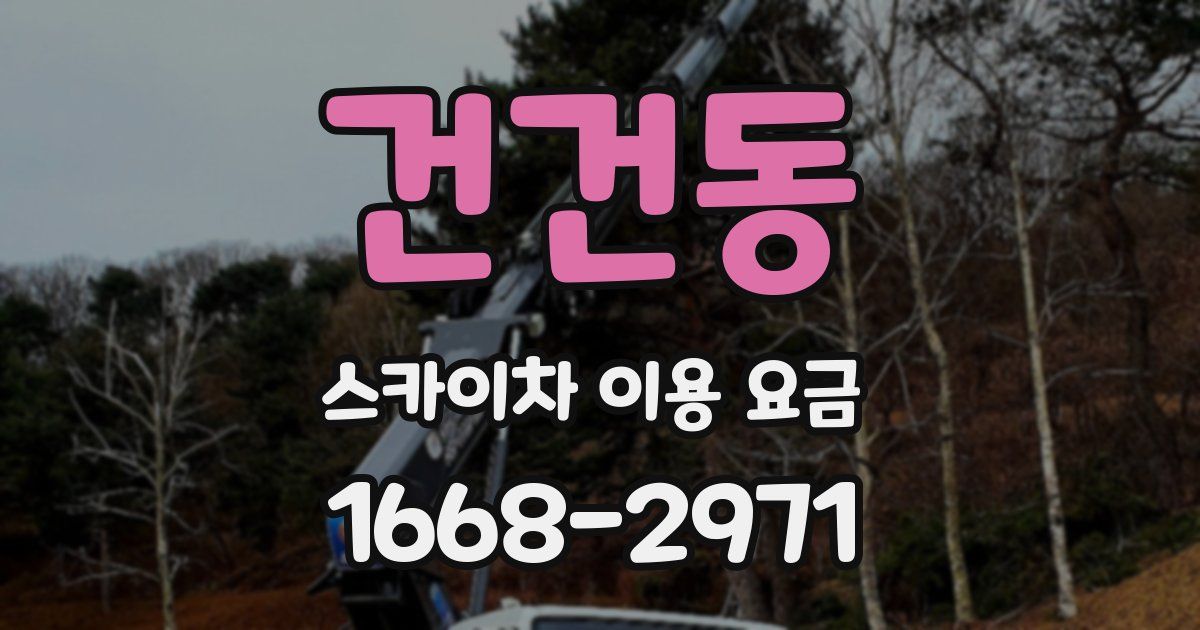 건건동 스카이차 이용 요금