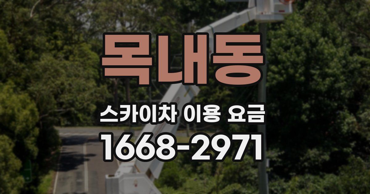 목내동 스카이차 이용 요금
