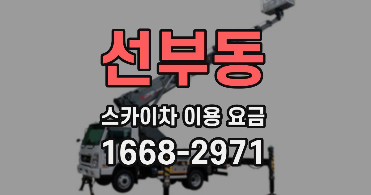 선부동 스카이차 이용 요금