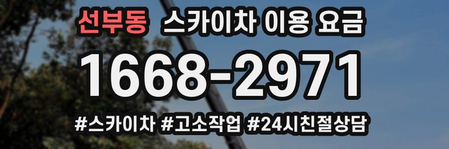 선부동 스카이차 이용 요금