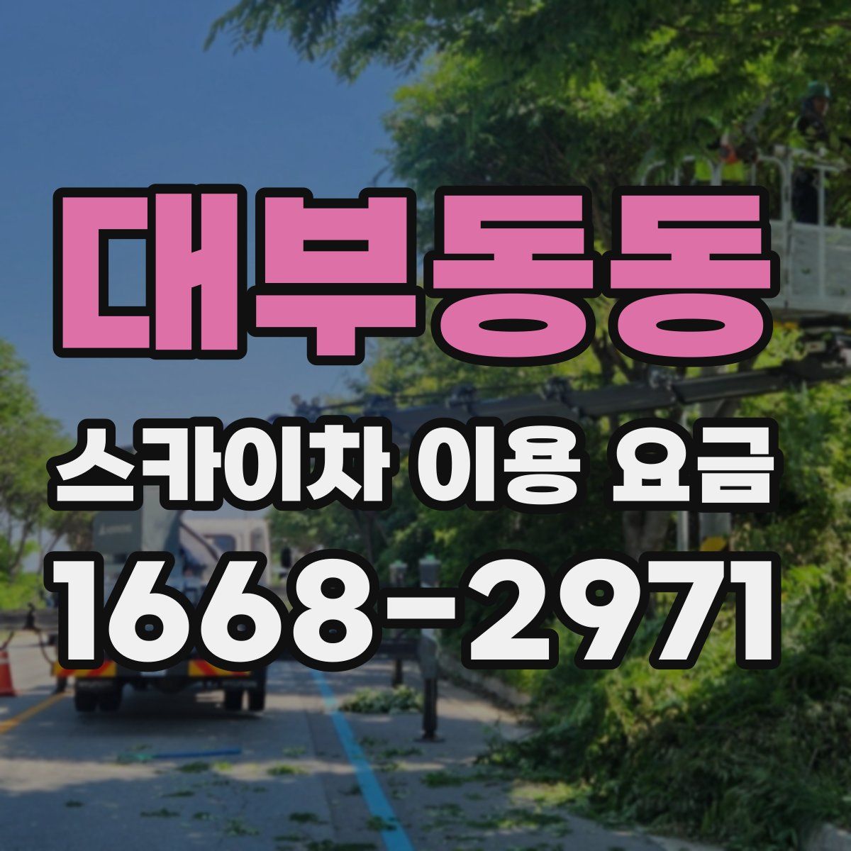 대부동동 스카이차 이용 요금