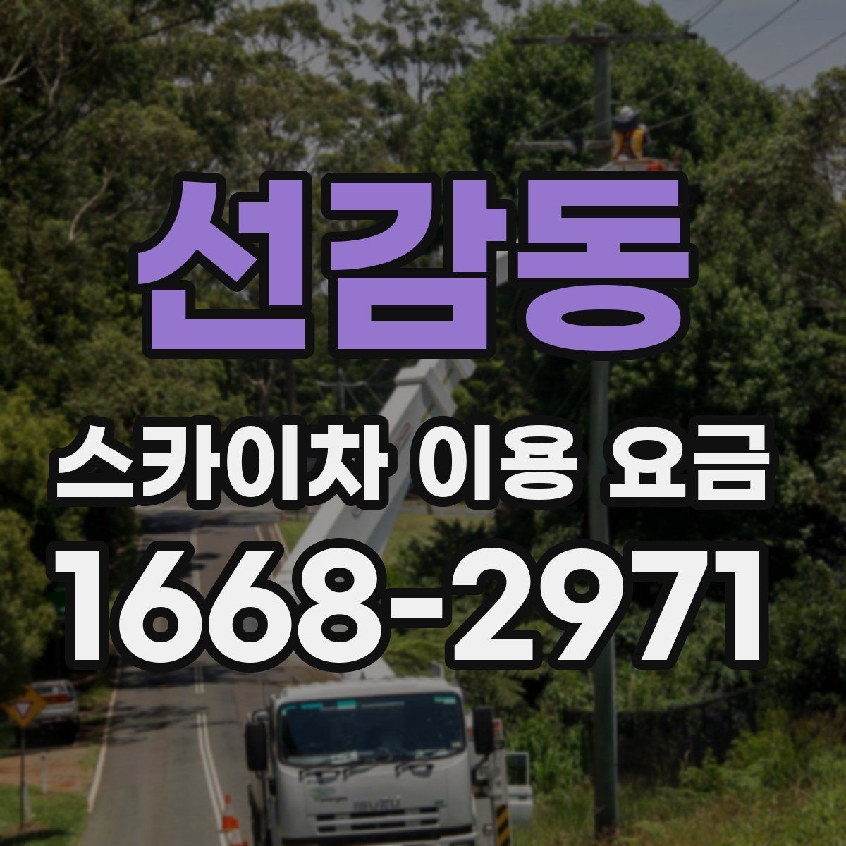 선감동 스카이차 이용 요금 보기 전에 알아두면 좋은 점