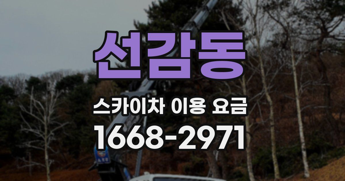 선감동 스카이차 이용 요금