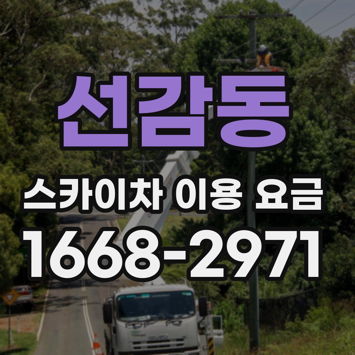 선감동 스카이차 이용 요금