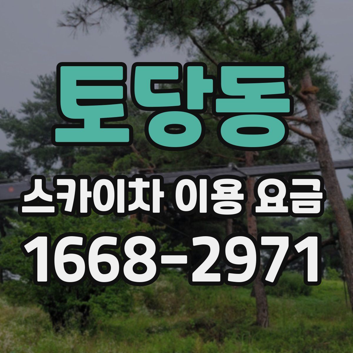 토당동 스카이차 이용 요금