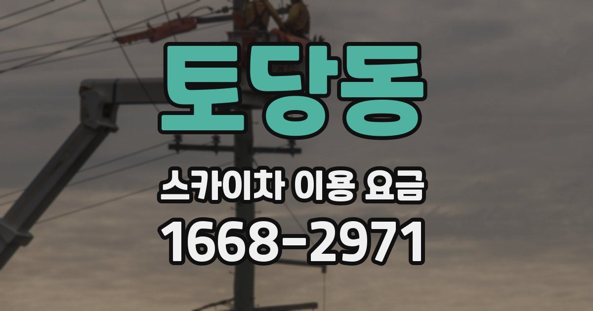 토당동 스카이차 이용 요금