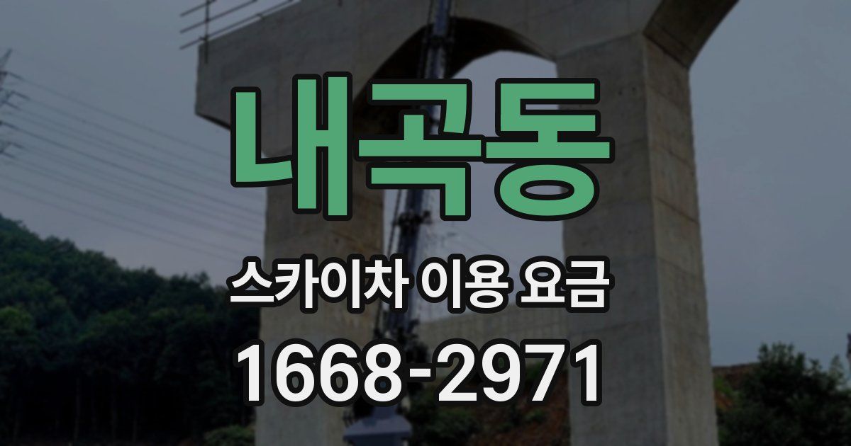 내곡동 스카이차 이용 요금