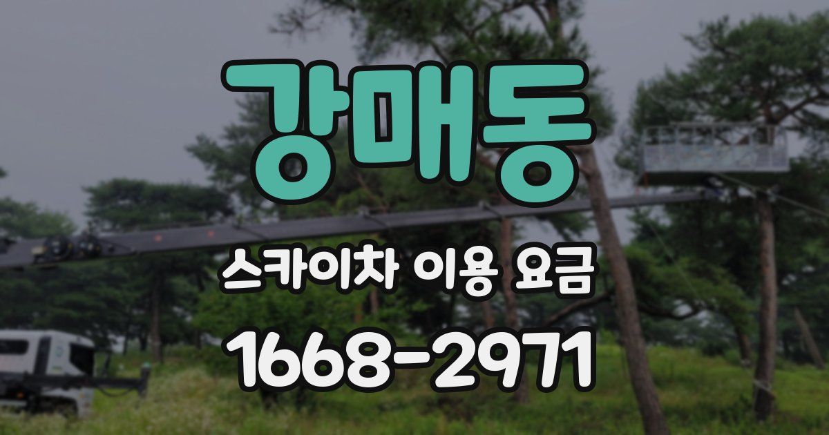 강매동 스카이차 이용 요금