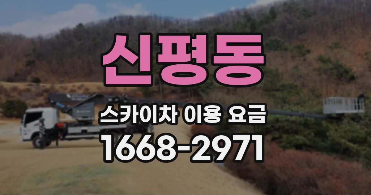 신평동 스카이차 이용 요금