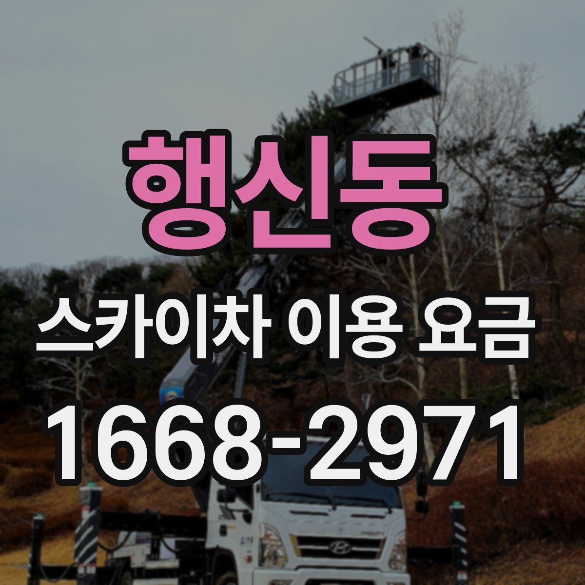 행신동 스카이차 이용 요금