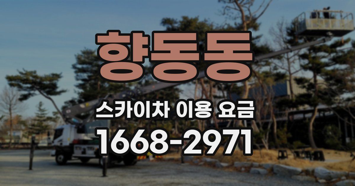 향동동 스카이차 이용 요금