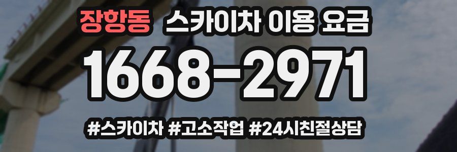 장항동 스카이차 이용 요금