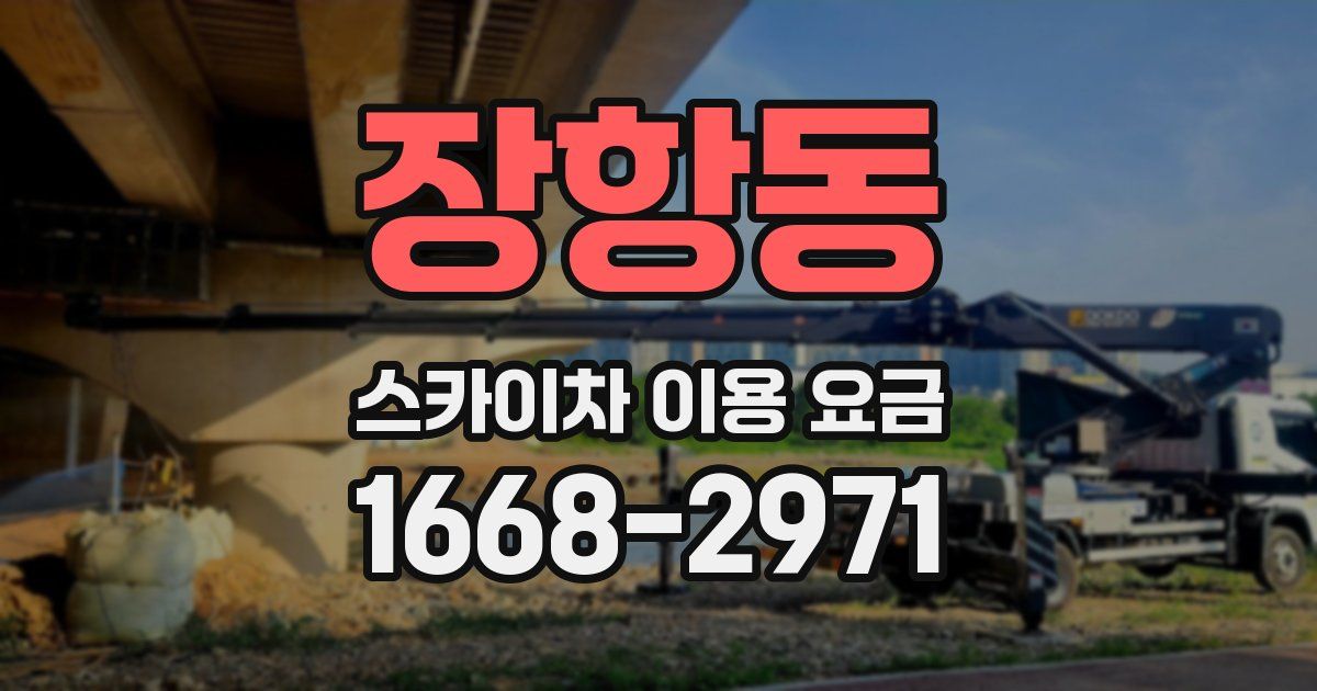 장항동 스카이차 이용 요금