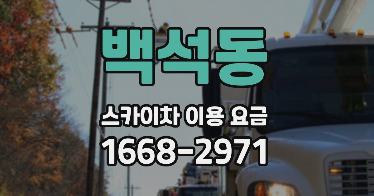 백석동 스카이차 이용 요금