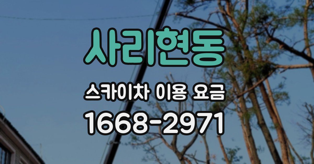 사리현동 스카이차 이용 요금