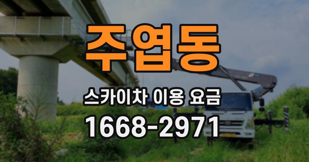 주엽동 스카이차 이용 요금