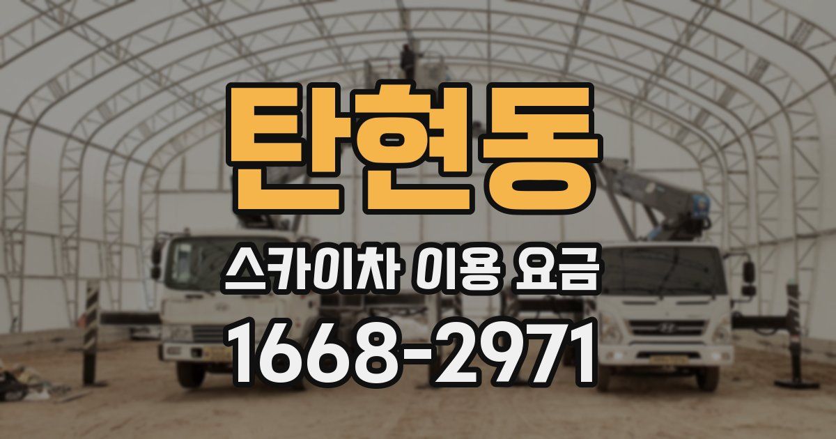 탄현동 스카이차 이용 요금