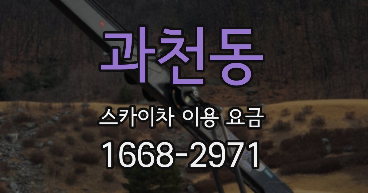 과천동 스카이차 이용 요금