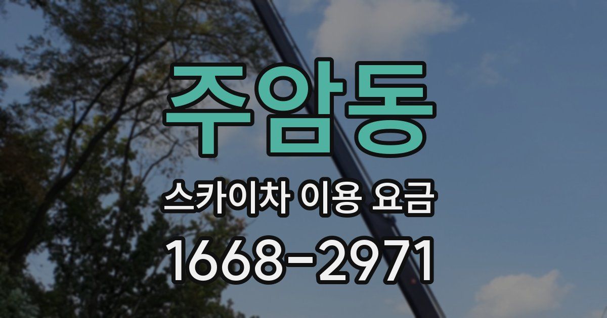 주암동 스카이차 이용 요금
