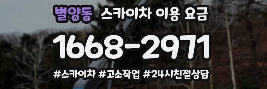 별양동 스카이차 이용 요금