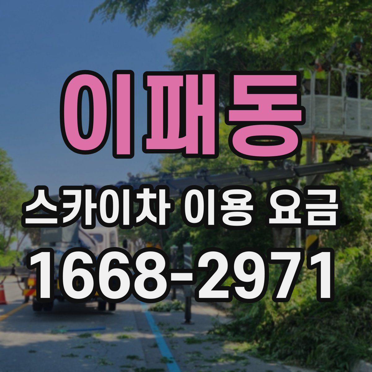 이패동 스카이차 이용 요금