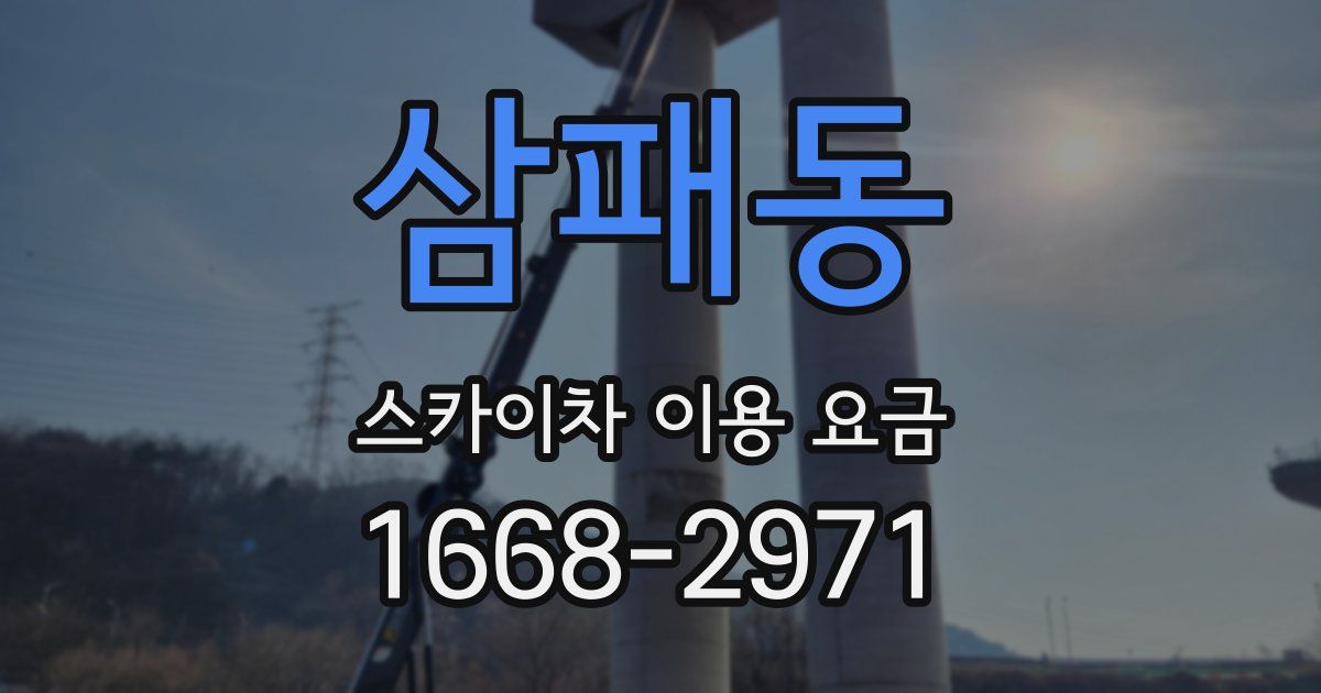 삼패동 스카이차 이용 요금