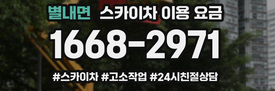 별내면 스카이차 이용 요금