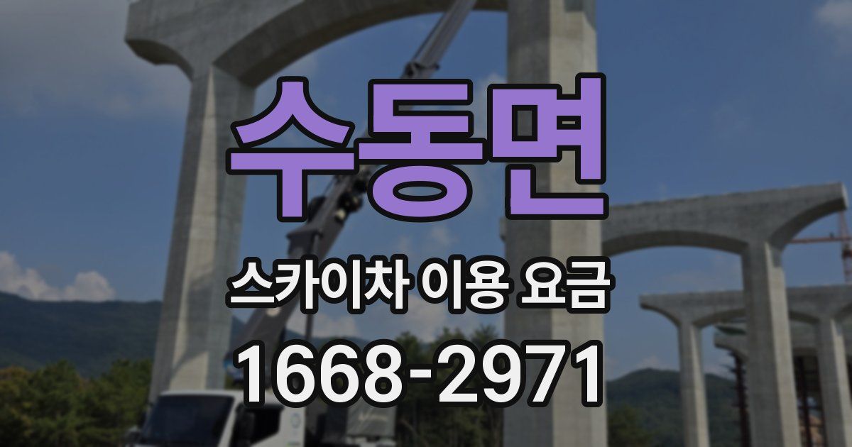 수동면 스카이차 이용 요금