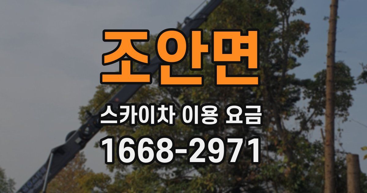 조안면 스카이차 이용 요금