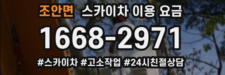 조안면 스카이차 이용 요금