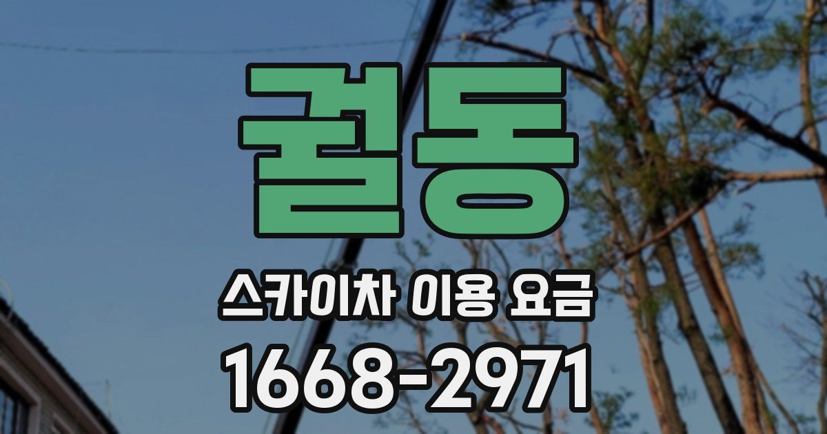 궐동 스카이차 이용 요금