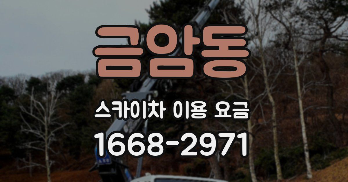 금암동 스카이차 이용 요금