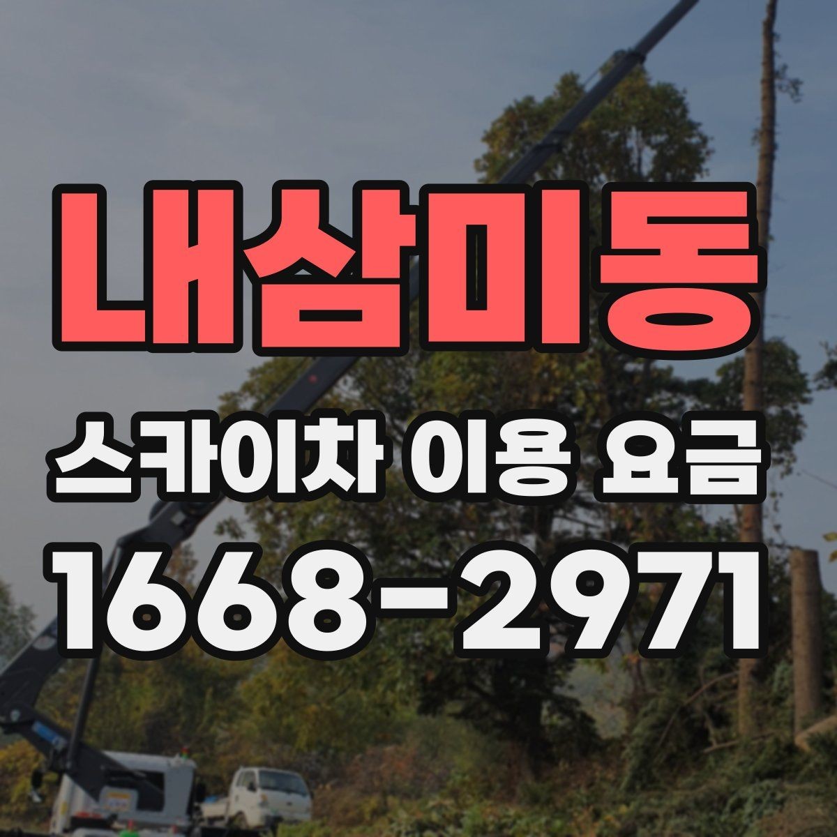 내삼미동 스카이차 이용 요금 정리: 비용에 영향을 주는 항목