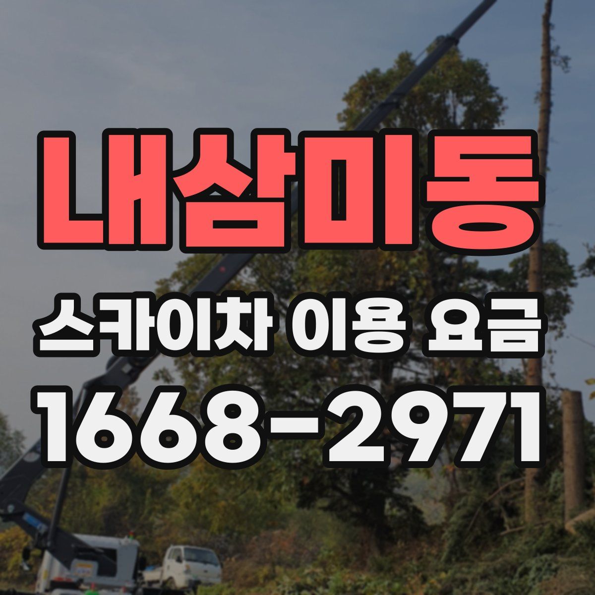 내삼미동 스카이차 이용 요금