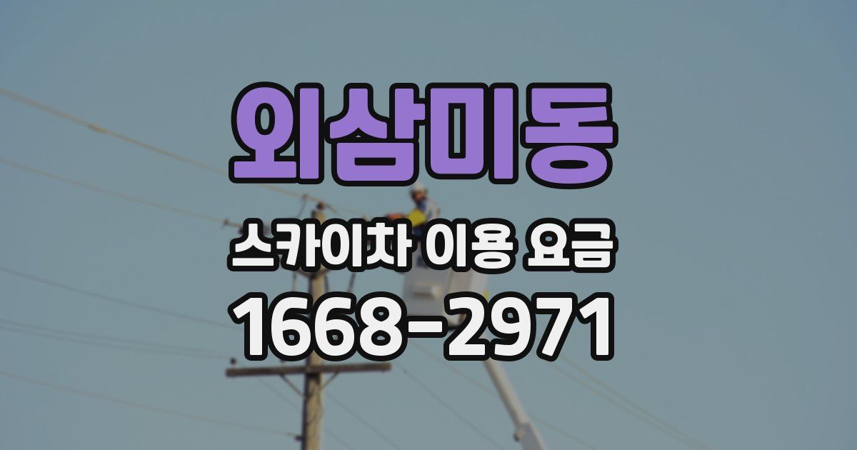 외삼미동 스카이차 이용 요금