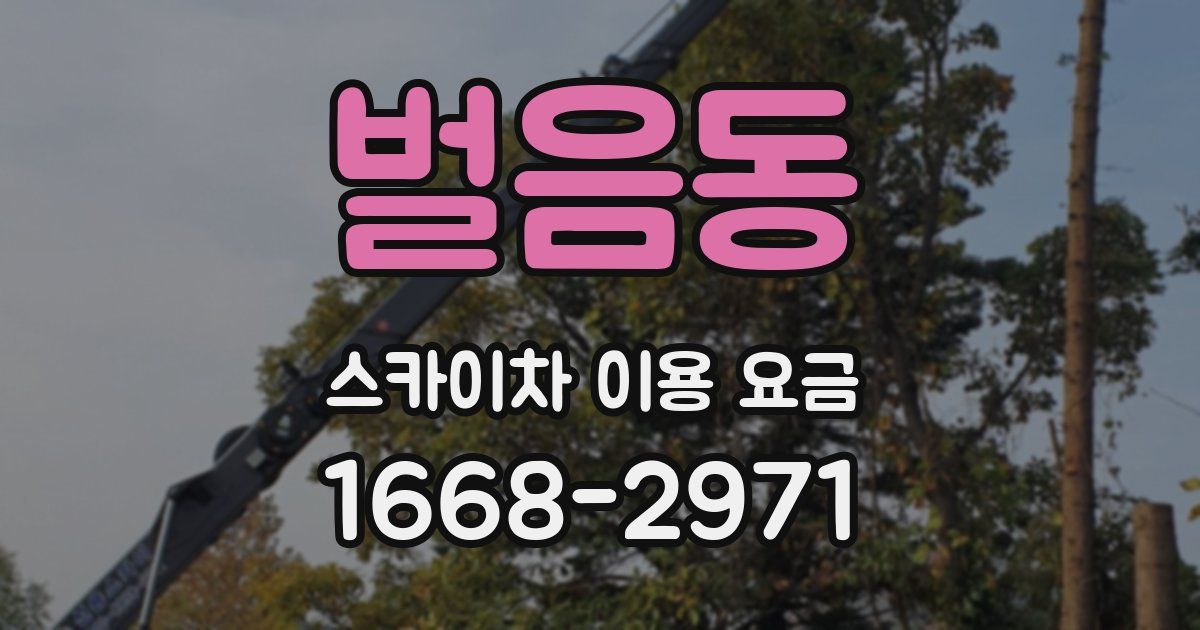 벌음동 스카이차 이용 요금