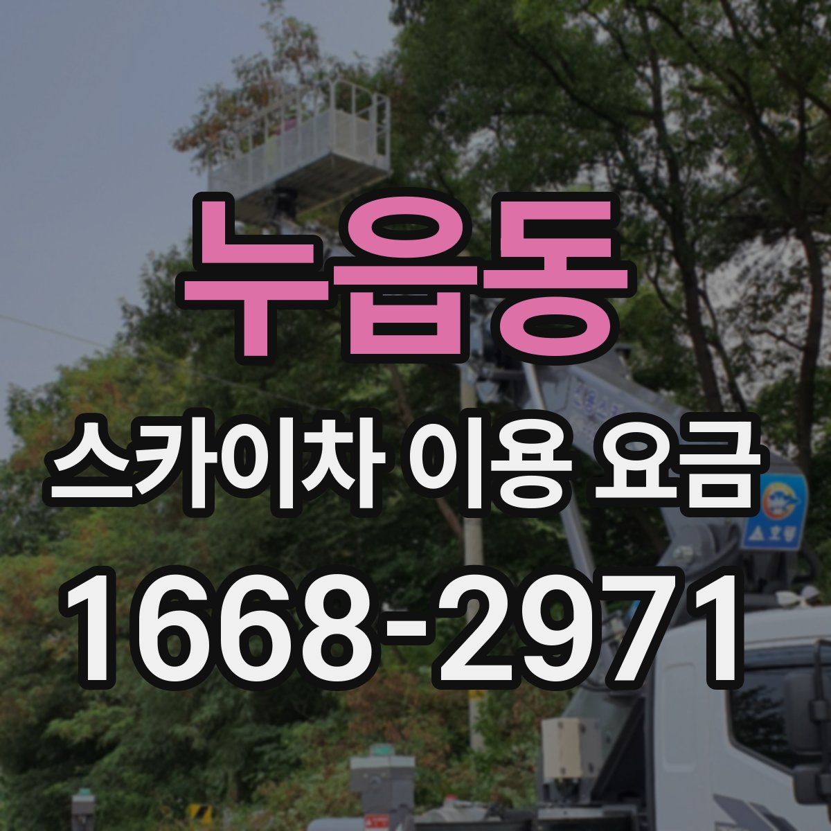 누읍동 스카이차 이용 요금