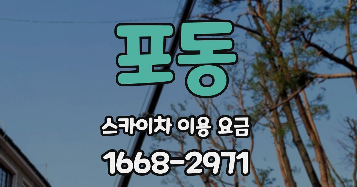 포동 스카이차 이용 요금