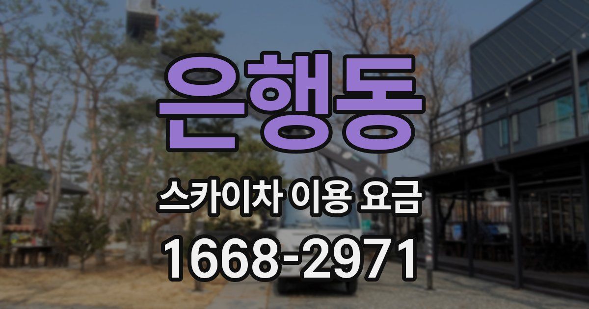 은행동 스카이차 이용 요금
