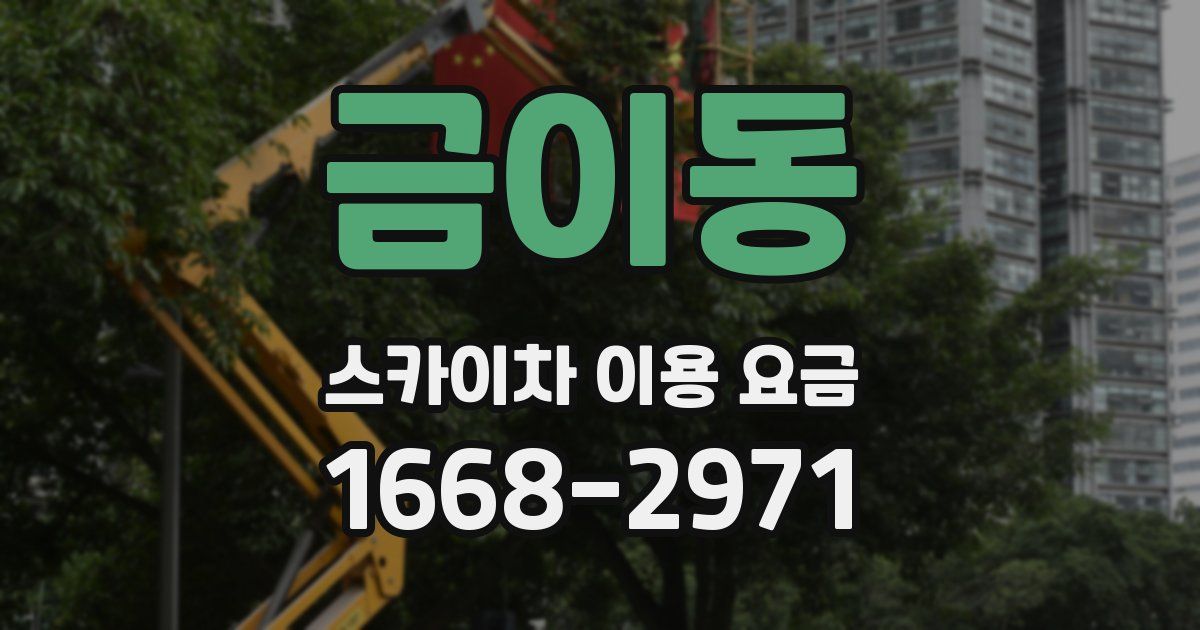 금이동 스카이차 이용 요금