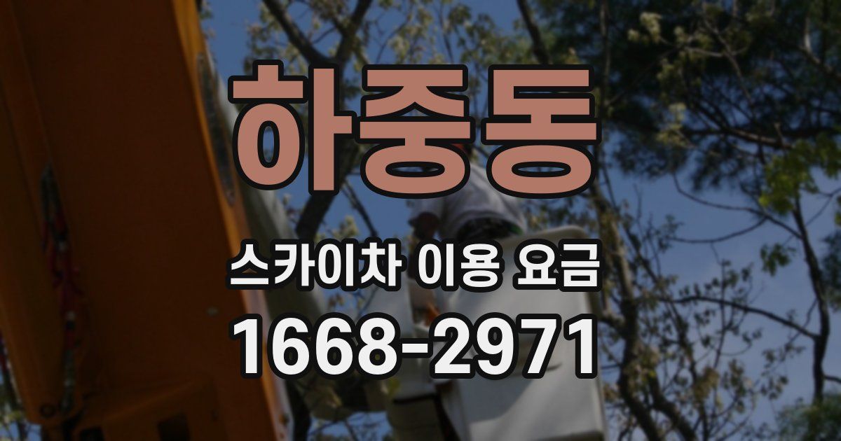 하중동 스카이차 이용 요금