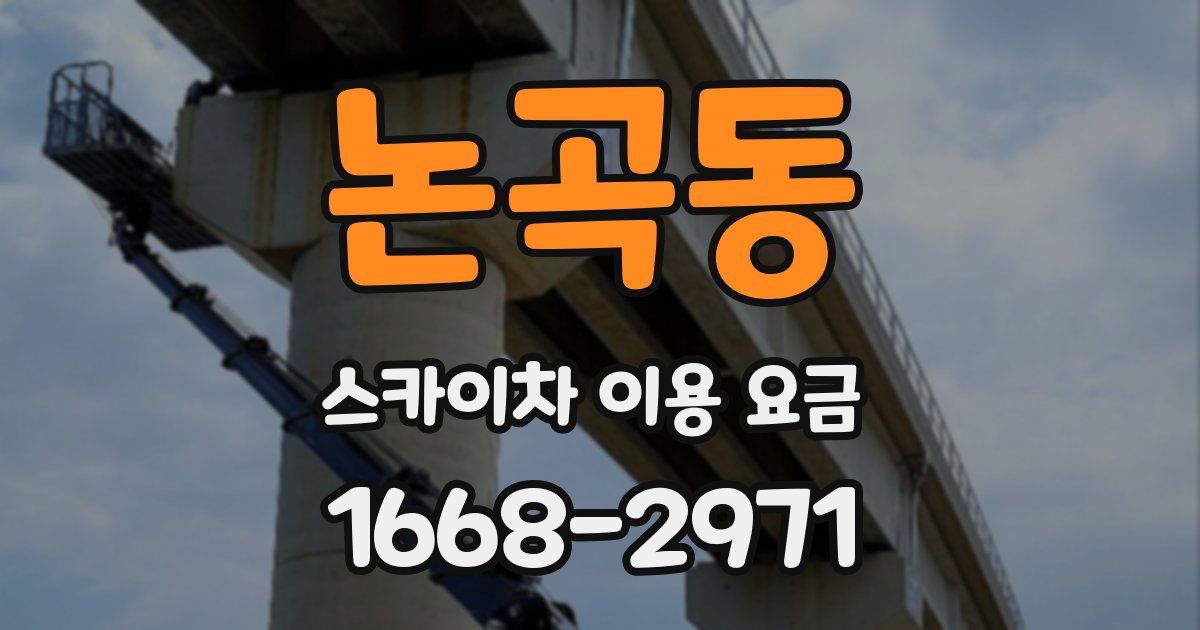 논곡동 스카이차 이용 요금