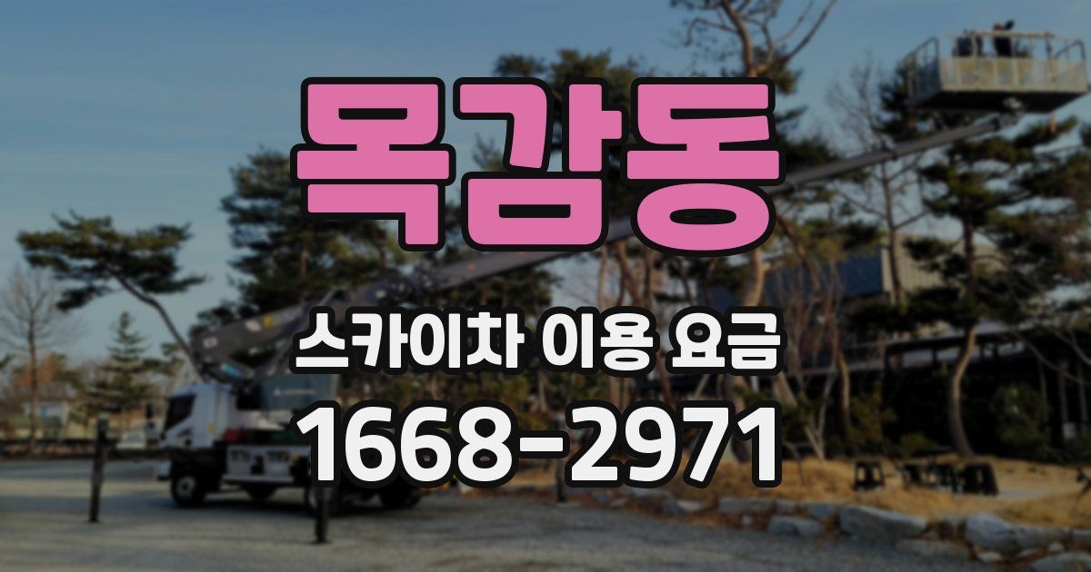 목감동 스카이차 이용 요금