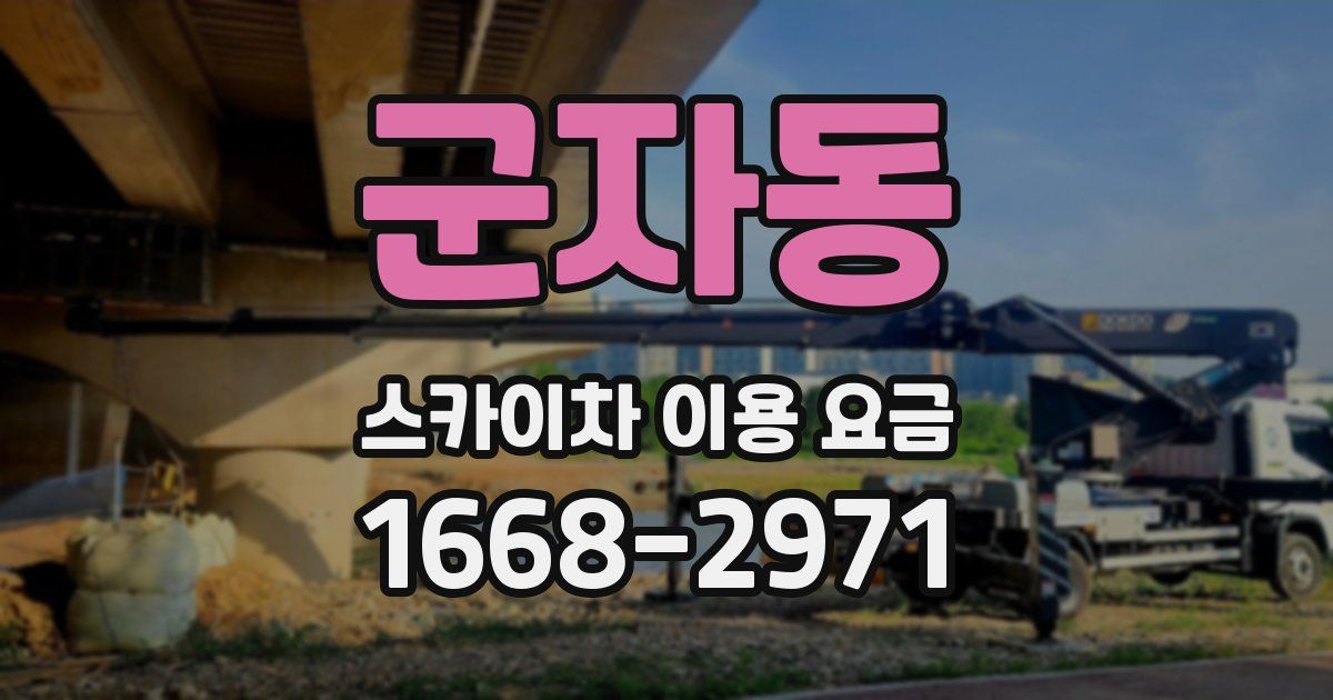 군자동 스카이차 이용 요금