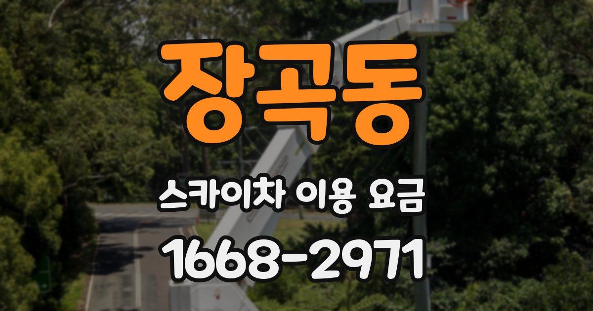 장곡동 스카이차 이용 요금
