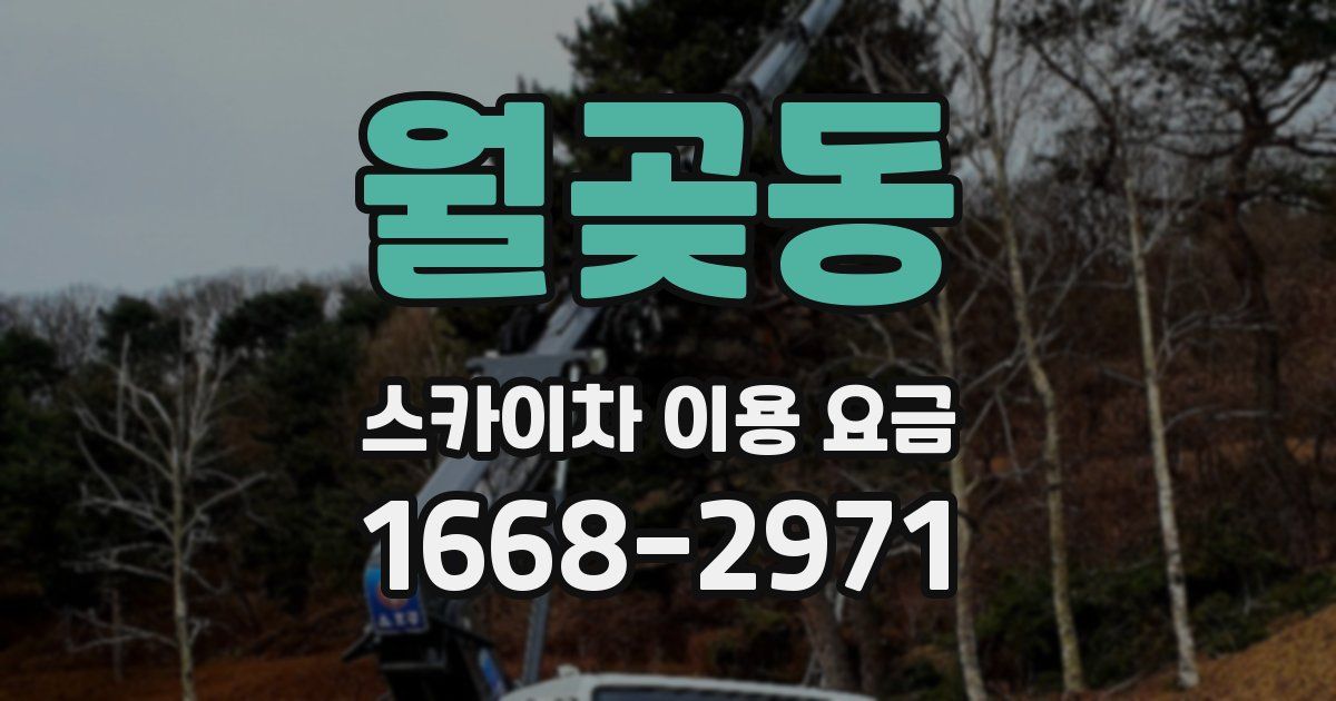 월곶동 스카이차 이용 요금