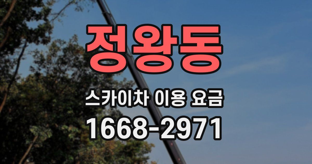 정왕동 스카이차 이용 요금